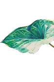 Flower Right